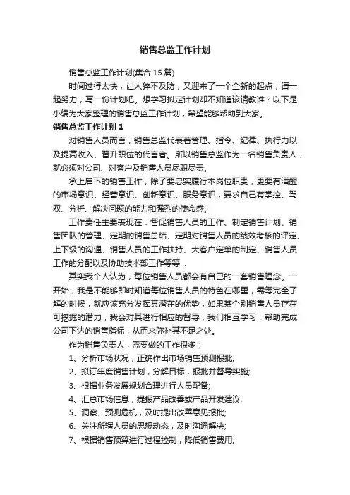 销售总监工作计划（集合15篇）