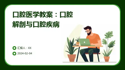 口腔医学教案：口腔解剖与口腔疾病