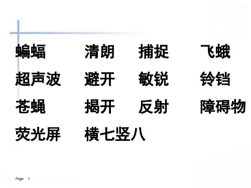 蝙蝠和雷达公开课ppt课件.ppt