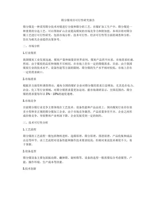 筛分煤项目可行性研究报告
