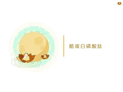 功能性食品开发与应用：酪蛋白磷酸肽