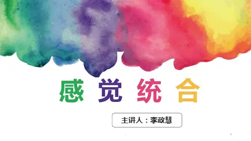 感觉统合培训资料PPT课件