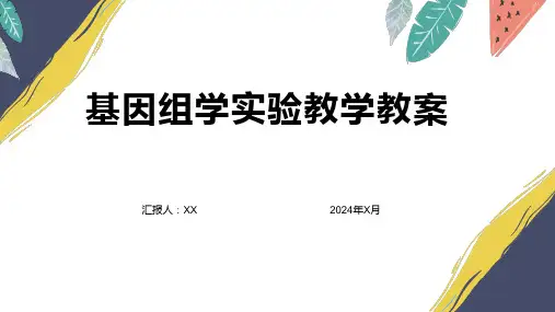 基因组学实验教学教案