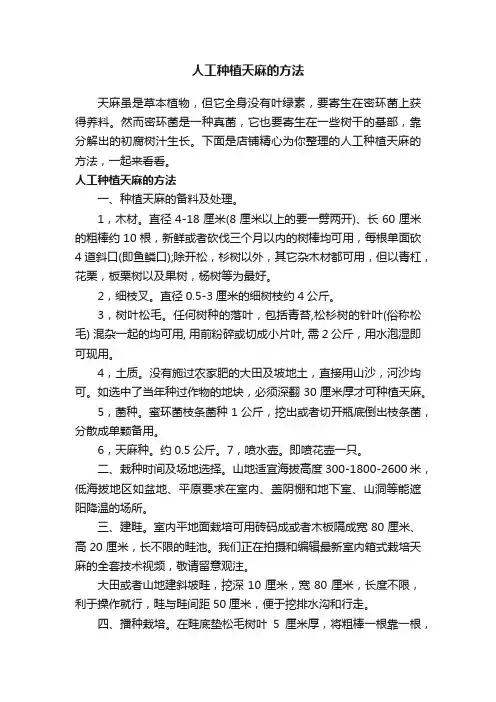 人工种植天麻的方法