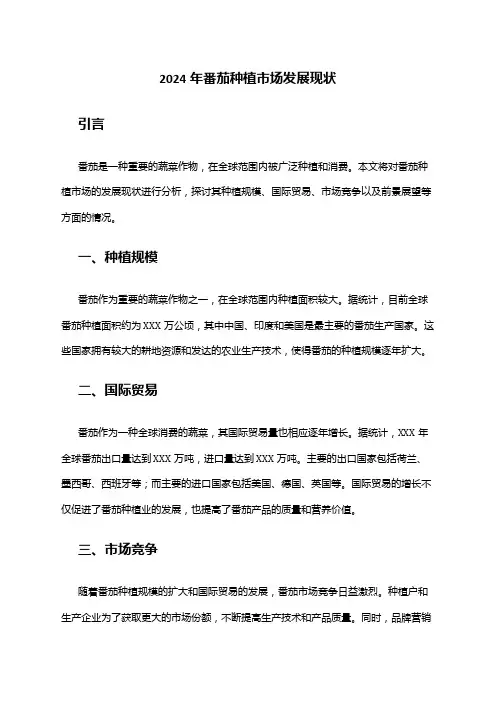 2024年番茄种植市场发展现状