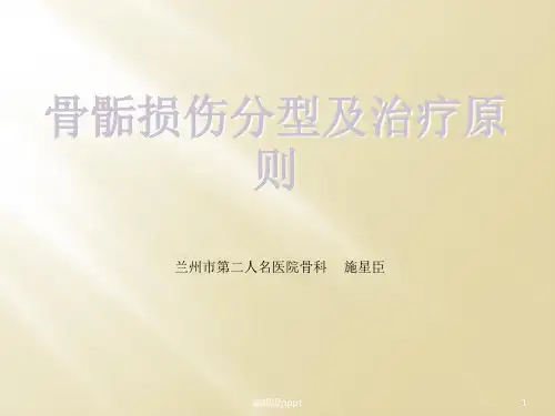 骨骺损伤分型及治疗原则ppt课件