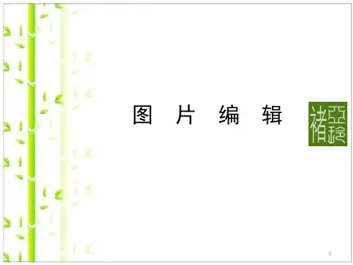 图片编辑ppt课件