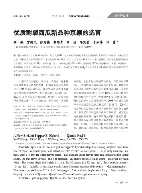 优质耐裂西瓜新品种京颖的选育