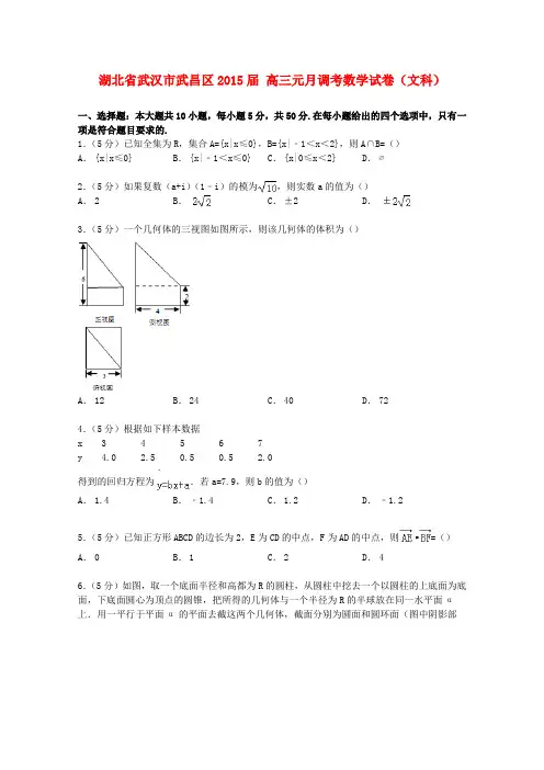 湖北省武汉市武昌区高三数学元月调考试卷 文(含解析)-人教版高三全册数学试题