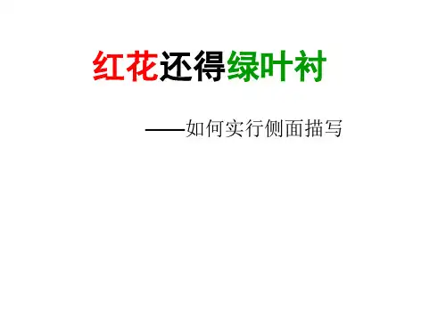 侧面描写作文指导(上课用)