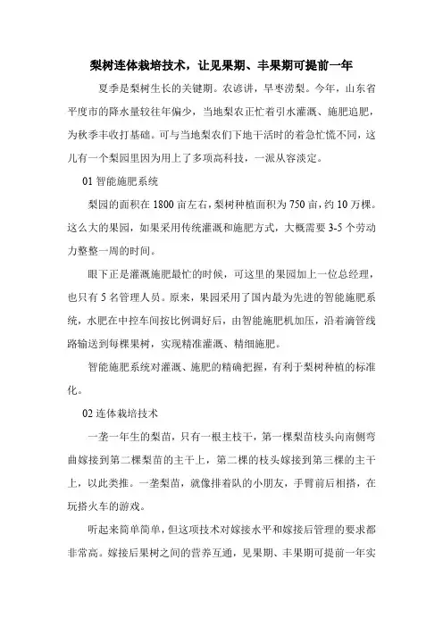 梨树连体栽培技术,让见果期、丰果期可提前一年.doc