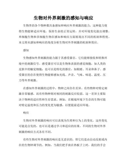 生物对外界刺激的感知与响应