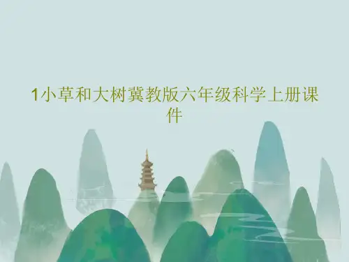 1小草和大树冀教版六年级科学上册课件共39页文档