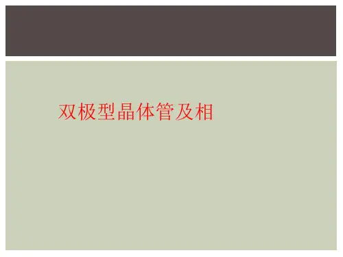 双极型晶体管及相