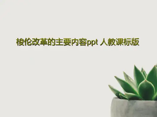 梭伦改革的主要内容ppt 人教课标版共30页