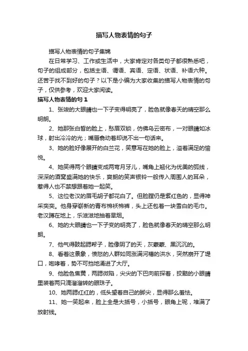 描写人物表情的句子集锦