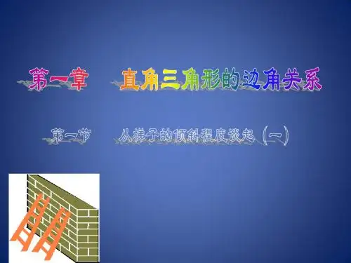 《从梯子的倾斜程度谈起》课件1(23页)(北师大版九年级下)