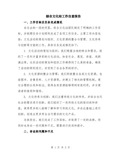综合文化站工作自查报告