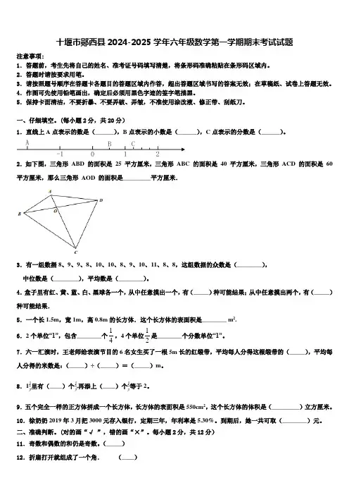 十堰市郧西县2024-2025学年六年级数学第一学期期末考试试题含解析