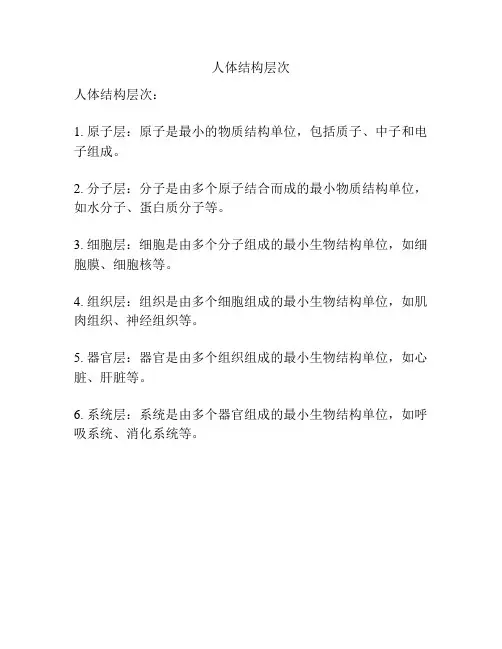 人体结构层次