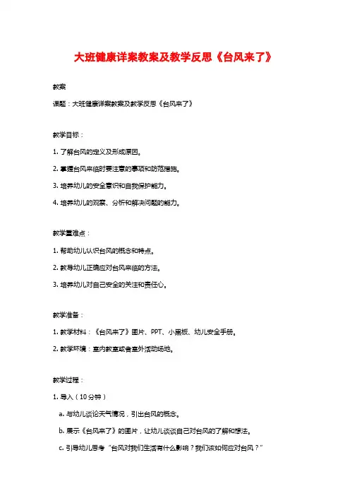 大班健康详案教案及教学反思《台风来了》