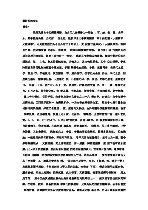 笙的介绍及音色问题