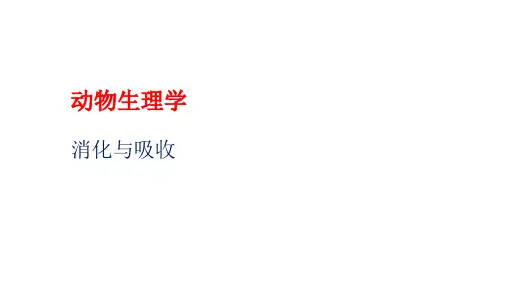 动物生理学  消化与吸收PPT课件