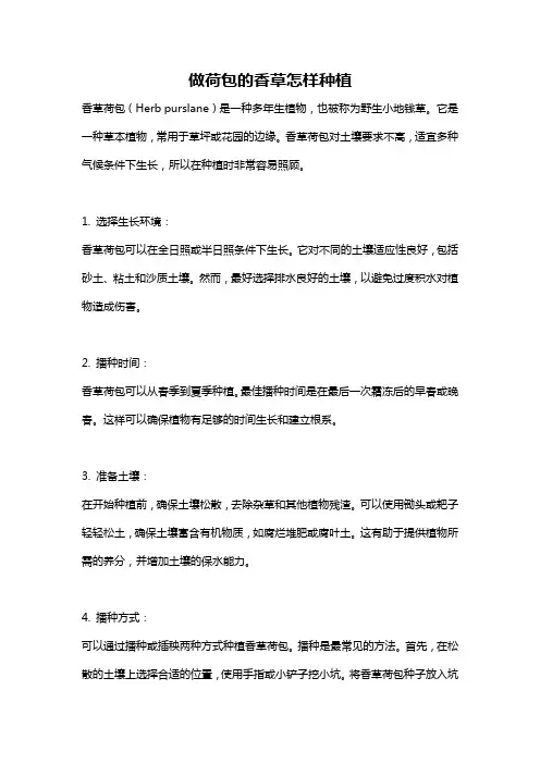做荷包的香草怎样种植