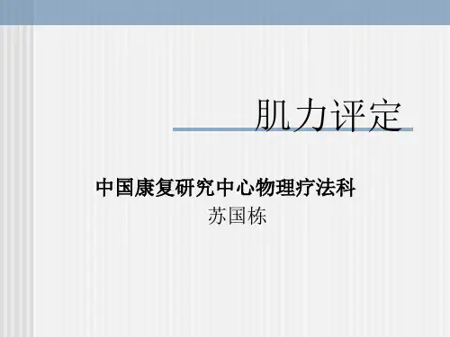 肌力评定