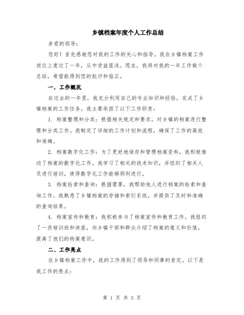 乡镇档案年度个人工作总结