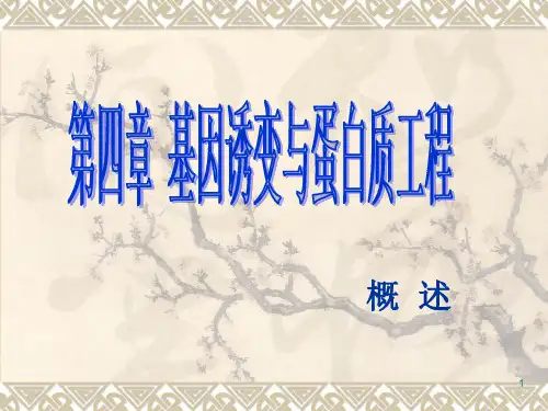 h第四章蛋白质工程概述PPT课件