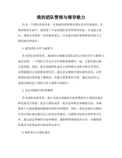 我的团队管理与领导能力