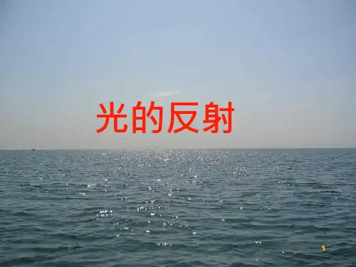 《光的反射》ppt课件