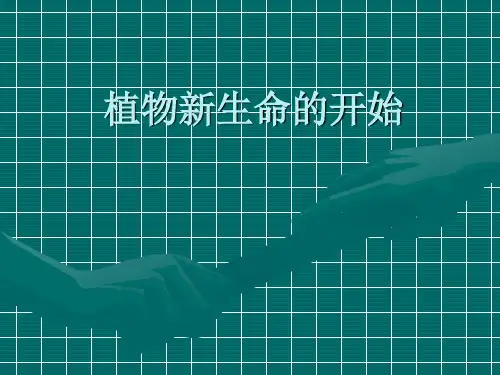 新教科版三年级科学下册第1课《植物新生命的开始》