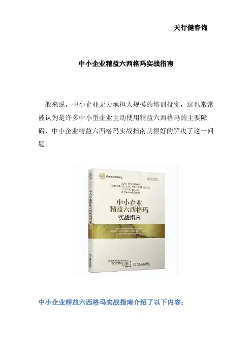 中小企业精益六西格玛实战指南