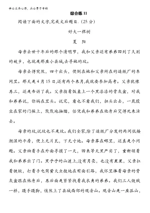 安徽省界首市界首中学2016-2017年度高考语文一轮复习限时规范综合训练 综合练11 含解析