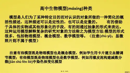 生物的模型种类(共5张PPT)