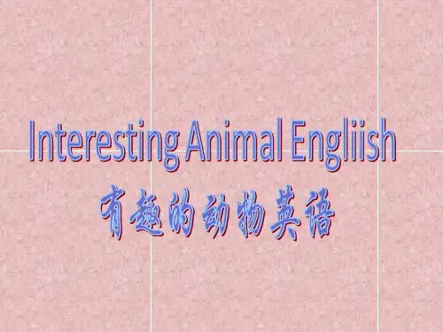 趣味动物英语课件PPT