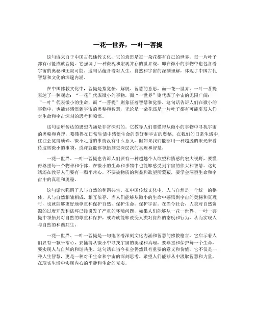 一花一世界,一叶一菩提