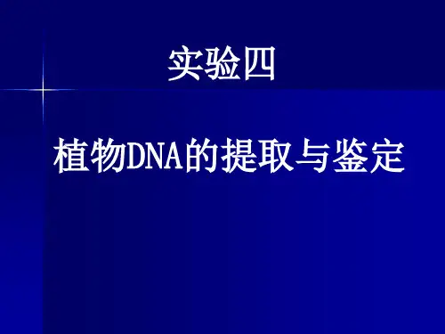 04 实验四  植物DNA的提取和鉴定(十六烷基三甲基溴化铵,CTAB)
