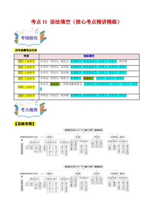 考点11语法填空(核心考点)-高考英语一轮复习(上海专用)(学生版)