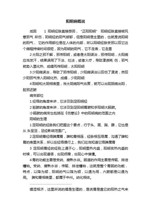 阳明病概说