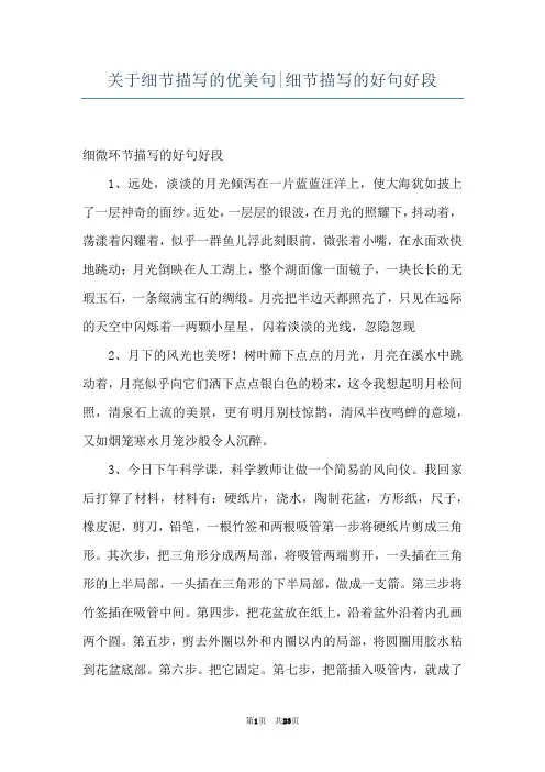 关于细节描写的优美句-细节描写的好句好段