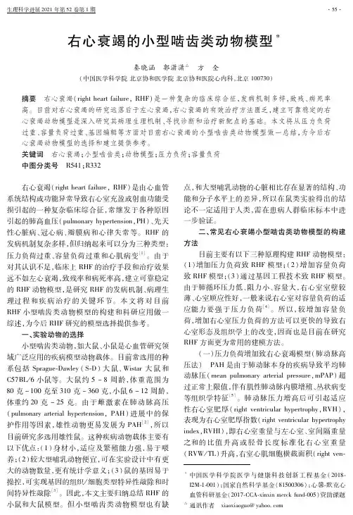 右心衰竭的小型啮齿类动物模型