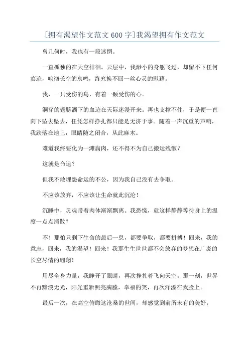 [拥有渴望作文范文600字]我渴望拥有作文范文