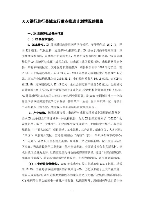 某银行总行县域支行重点推进计划情况的报告