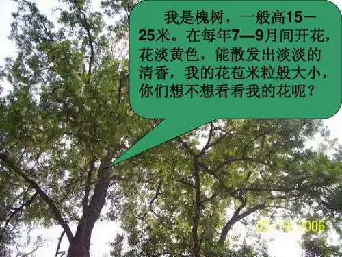 小学三年级语文4槐乡的孩子