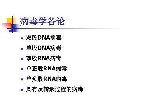 兽医病毒学课件：病毒学各论