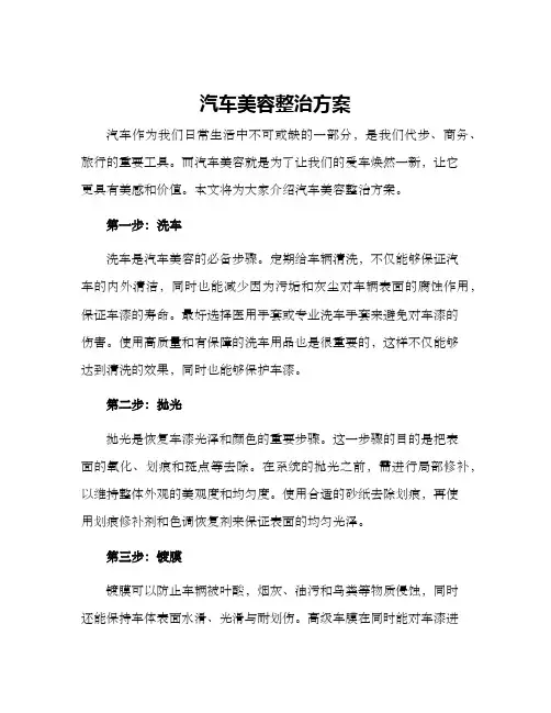 汽车美容整治方案