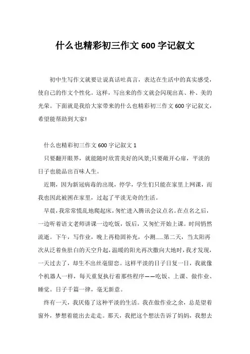 (初三作文)什么也精彩初三作文600字记叙文